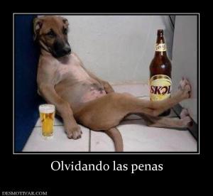 Olvidando las penas