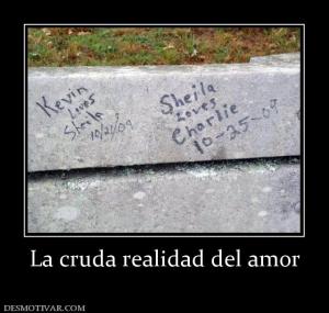 La cruda realidad del amor