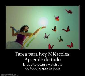 Tarea para hoy Miércoles: Aprende de todo  lo que te ocurra y disfruta de todo lo que te pase