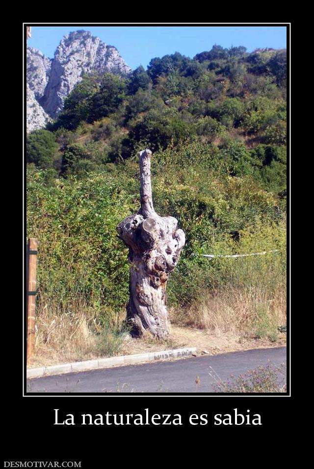 La naturaleza es sabia