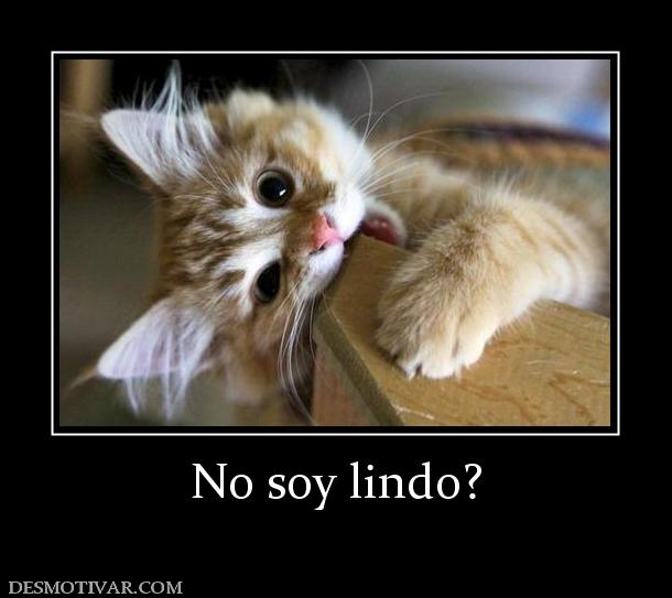 No soy lindo?