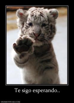 Te sigo esperando..