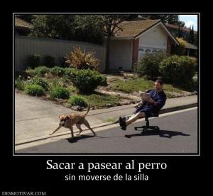 Sacar a pasear al perro sin moverse de la silla