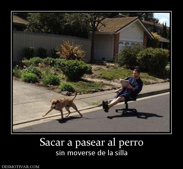 Sacar a pasear al perro sin moverse de la silla