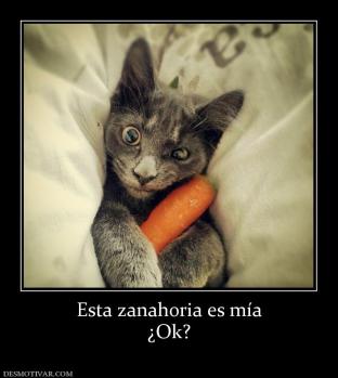 Esta zanahoria es mía ¿Ok?