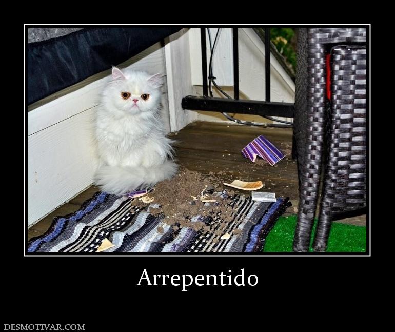 Arrepentido