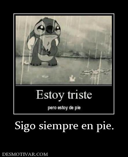 Sigo siempre en pie.