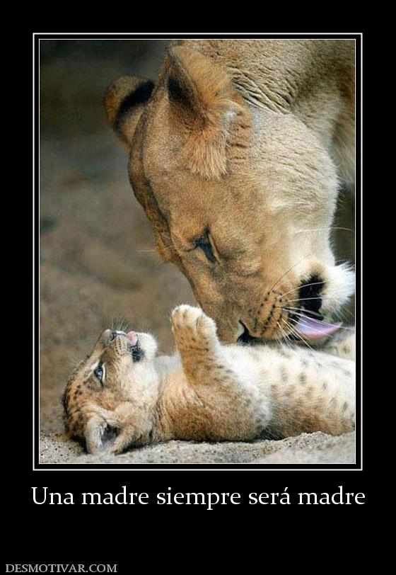 Una madre siempre será madre