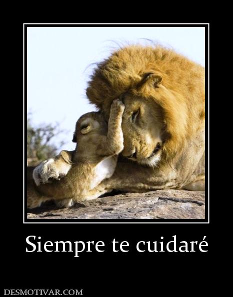 Siempre te cuidaré