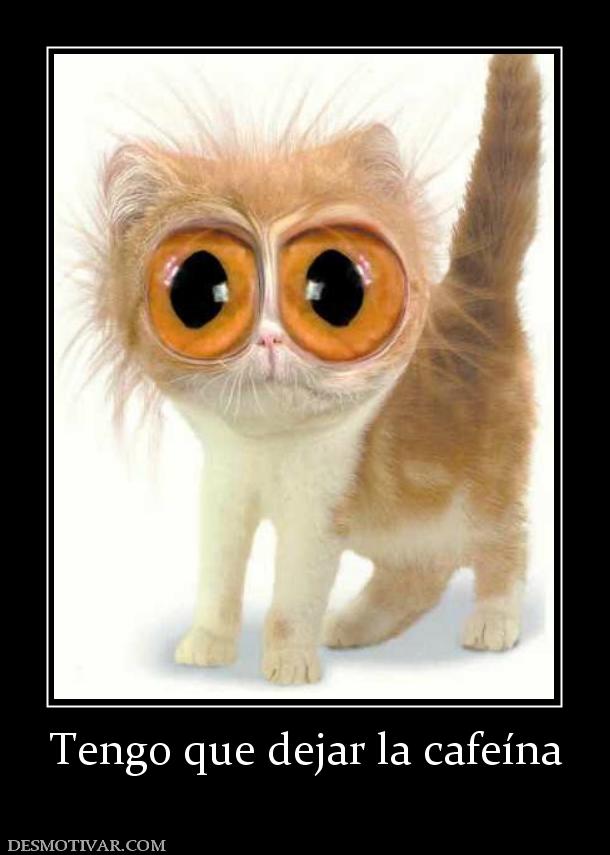 Tengo que dejar la cafeína