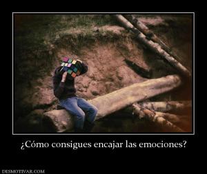 ¿Cómo consigues encajar las emociones?