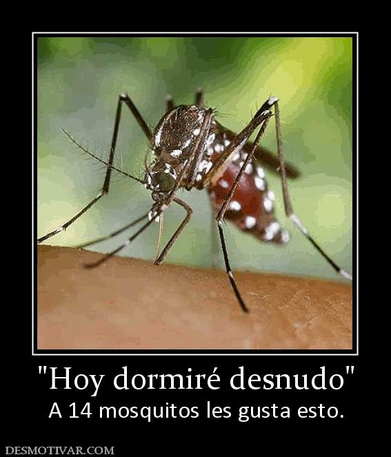 A 14 mosquitos les gusta esto.