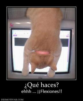 ¿Qué haces? ehhh ... ¡¡Flexiones!!