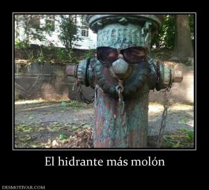 El hidrante más molón