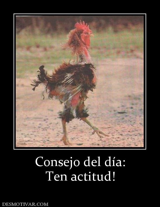 Consejo del día: Ten actitud!