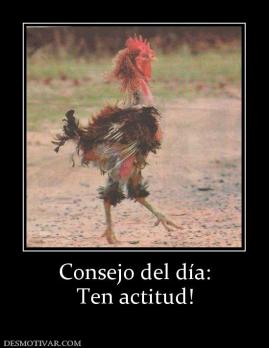 Consejo del día: Ten actitud!