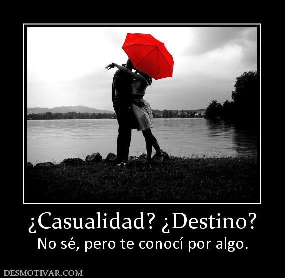 ¿Casualidad? ¿Destino? No sé, pero te conocí por algo.