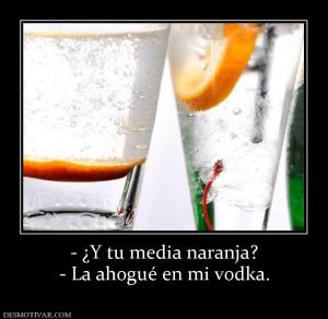 - ¿Y tu media naranja? - La ahogué en mi vodka.