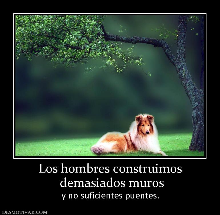 Los hombres construimos  demasiados muros y no suficientes puentes.