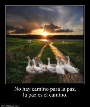 No hay camino para la paz, la paz es el camino.