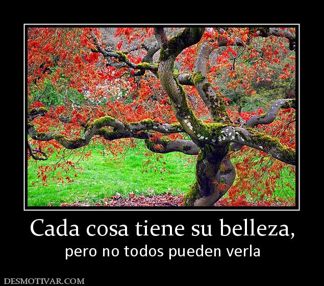 Cada cosa tiene su belleza, pero no todos pueden verla