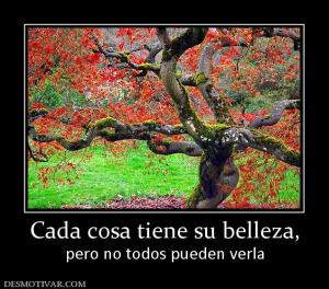 Cada cosa tiene su belleza, pero no todos pueden verla