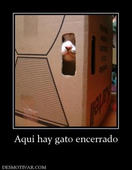 Aqui hay gato encerrado