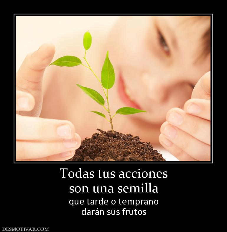 Todas tus acciones son una semilla que tarde o temprano darán sus frutos