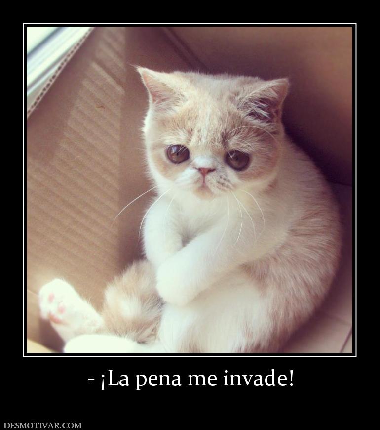 - ¡La pena me invade!