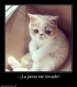 - ¡La pena me invade!