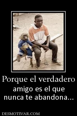 Porque el verdadero amigo es el que nunca te abandona...