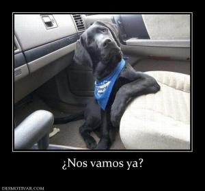 ¿Nos vamos ya?