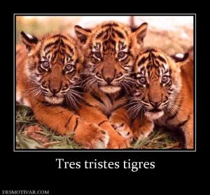 Tres tristes tigres