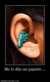 Me lo dijo un pajarito ...