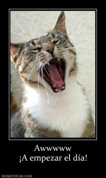 Awwwww ¡A empezar el día!