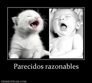 Parecidos razonables