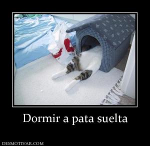 Dormir a pata suelta