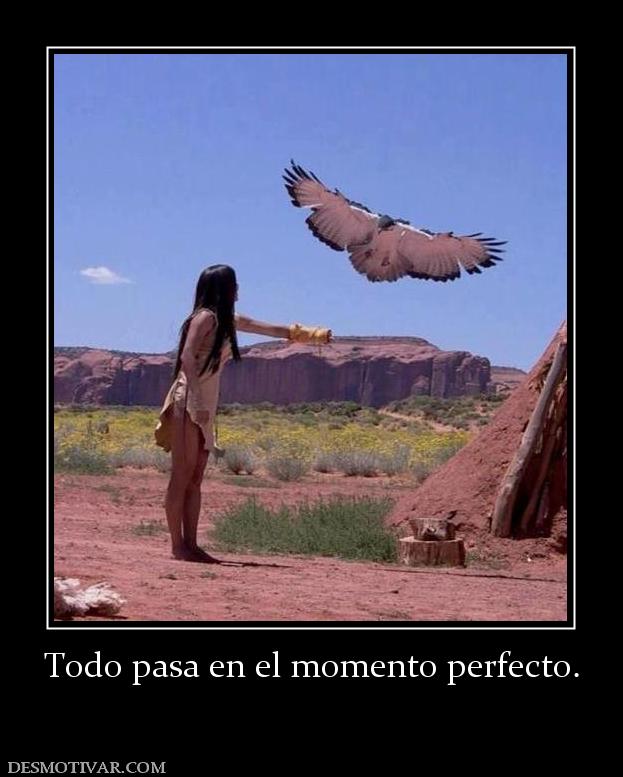 Todo pasa en el momento perfecto.