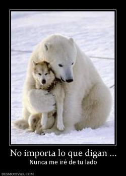 No importa lo que digan ... Nunca me iré de tu lado