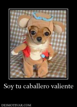 Soy tu caballero valiente