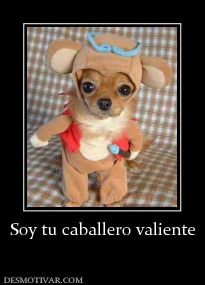 Soy tu caballero valiente
