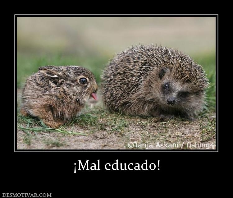 ¡Mal educado!