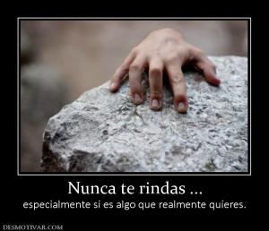 Nunca te rindas ... especialmente si es algo que realmente quieres.