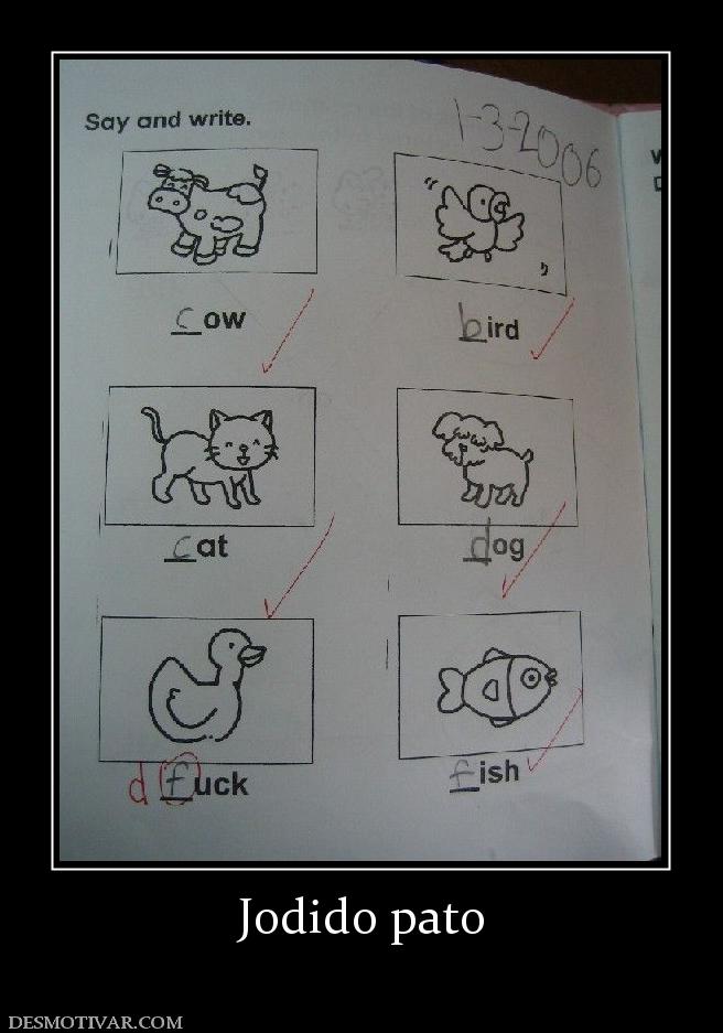 Jodido pato