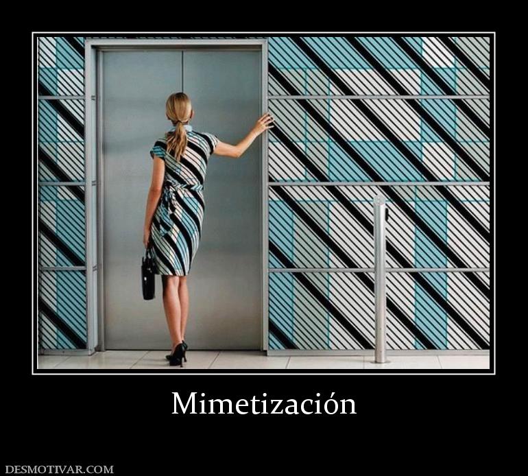 Mimetización