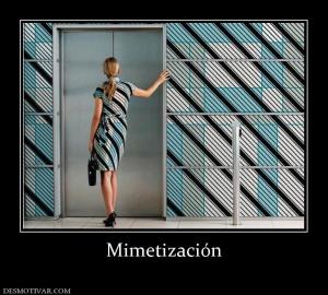 Mimetización