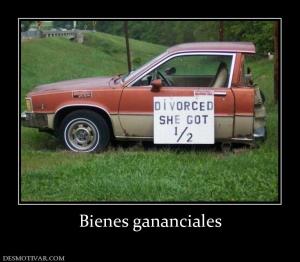 Bienes gananciales