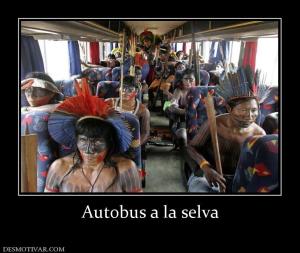 Autobus a la selva