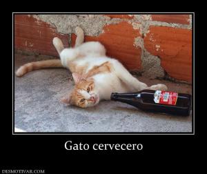 Gato cervecero