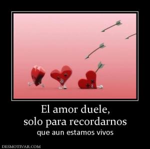 El amor duele, solo para recordarnos  que aun estamos vivos